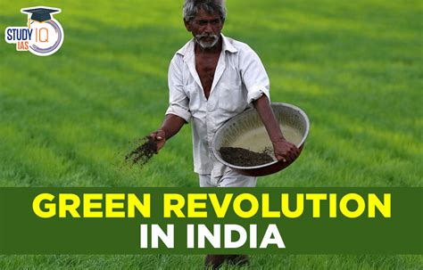 Green Revolution Ushering In An Era Of Agricultural Abundance And Political Transformation In India