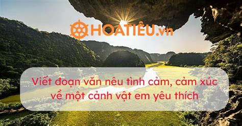  Thập Kỷ Của Tình Yêu: Chuyển Biến Về Văn Hóa Đức và Phản Ứng Xã Hội